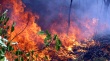 Весенние травяные пожары - угроза для людей и животных.