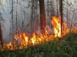 Предупреждение пожаров в весенне-летний пожароопасный период!