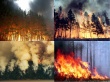 Возникновение природных пожаров.