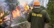 С 15 апреля в лесах Ивановской области установлен пожароопасный сезон