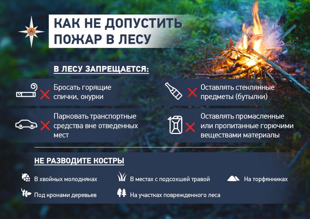 Как не допустить пожар в лесу.jpg